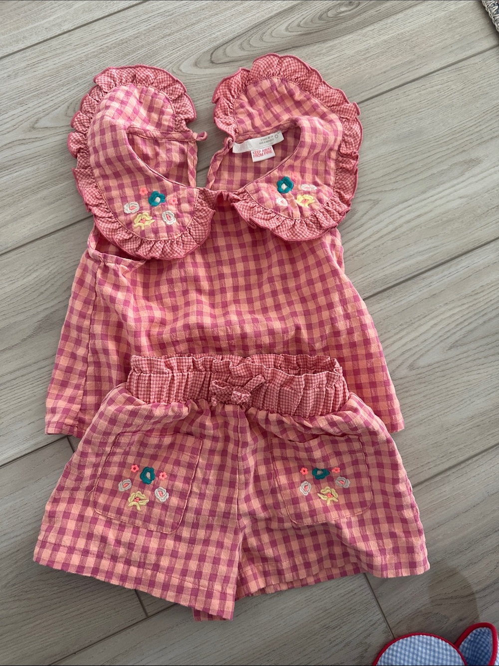 Zara Pink Gingham Embroidered Ruffle Two-Piece Set